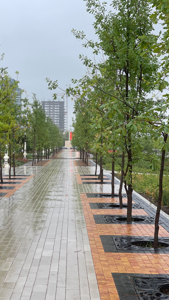 Приствольная решетка для дерева ZKING CRUST 1.2х1.2м Черная в Серпухове фото