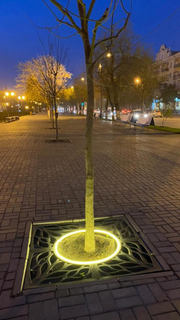 Приствольная решетка для дерева ZKING CRUST 1.2х1.2м Черная в Серпухове фото